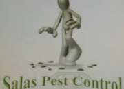 Salas pest control area metro Salas pest control area metro